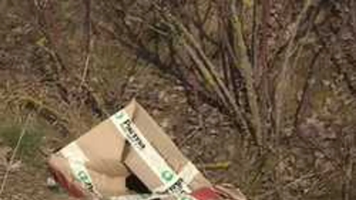 Emberi egészségre ártalmatlan rovarirtó volt a teherautóból kidobott idegméreg