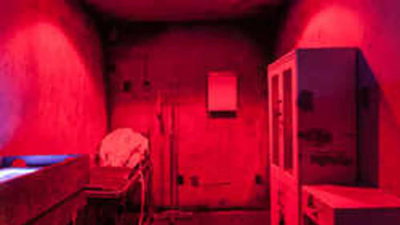 Erre a magyar találmányra gerjed fél Amerika