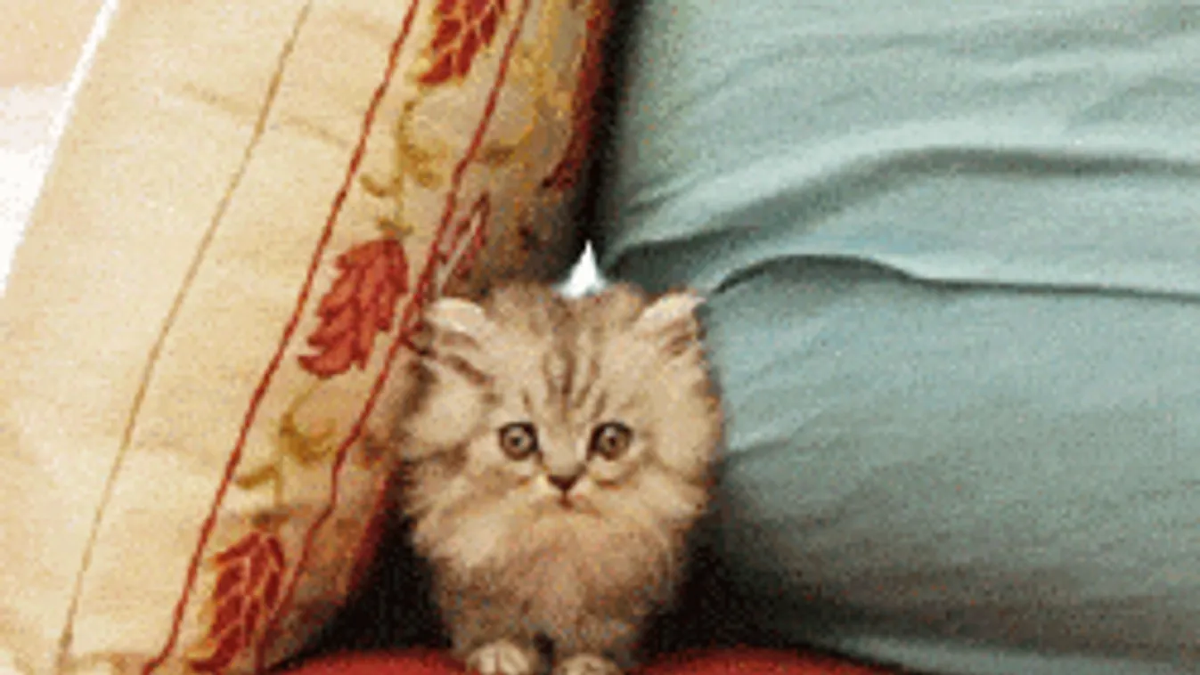 Fagyos idővel köszönt be a tél, leeshet az első hó is