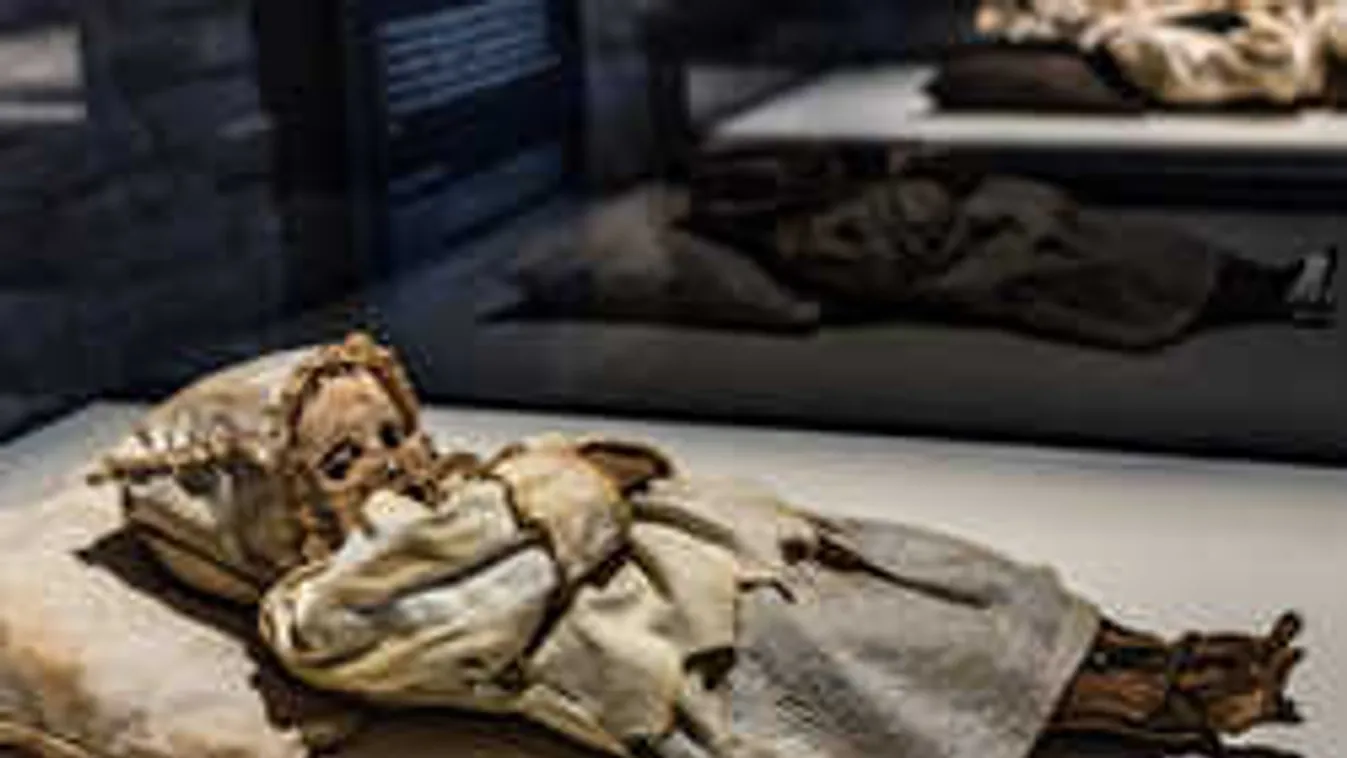 Döbbenetes látvány Budapesten: Aszott tetemek a Király utcában