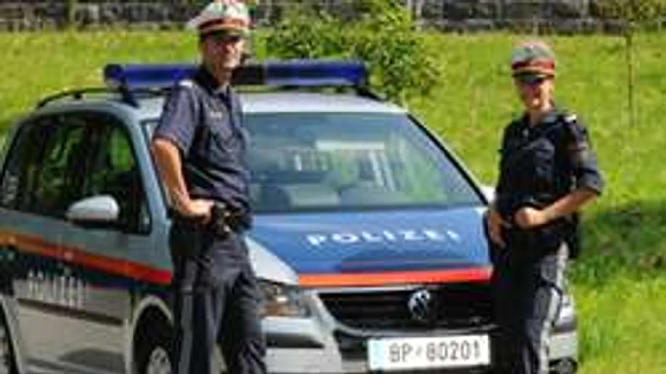 Beteg nőt akart megerőszakolni a kórházi ágyon egy migráns