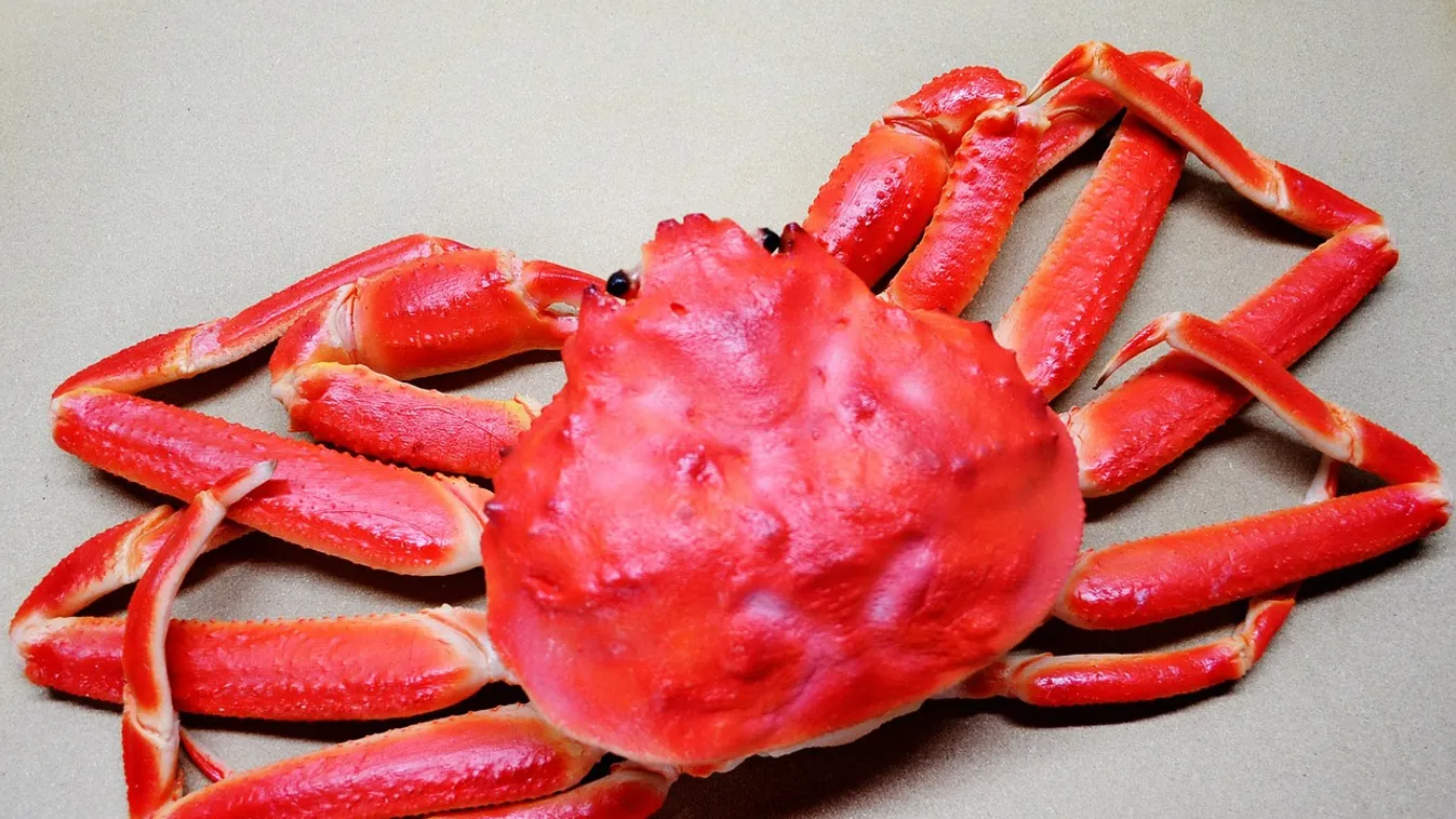 Sosem történt még hasonló egyetlen piacon sem: megdőlt a furcsa rekord