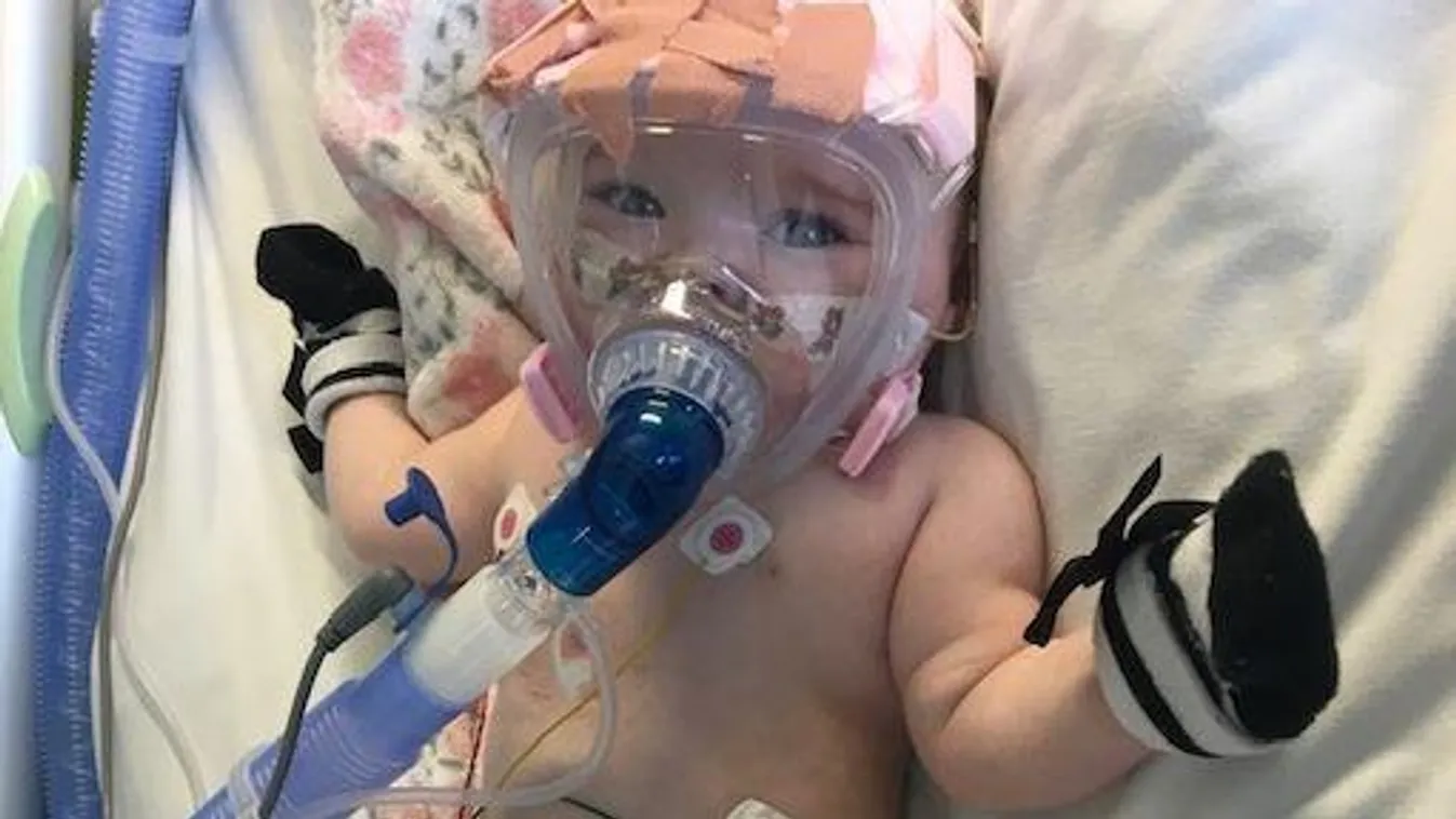 Az ápolók sem hittek a szemüknek, elképesztő, mi történt a koronavírusos babával – videó!