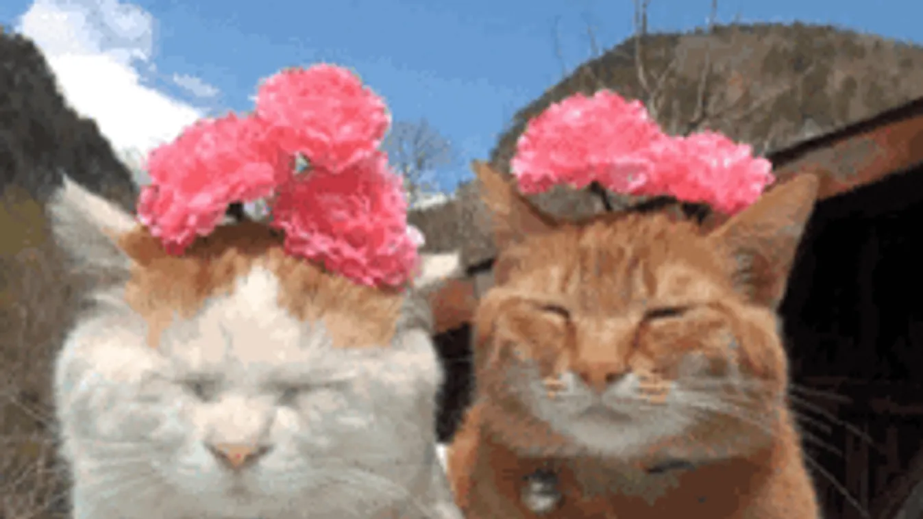 Fontos hírt közöltek a meteorológusok, eddig élvezhetjük a napsütést