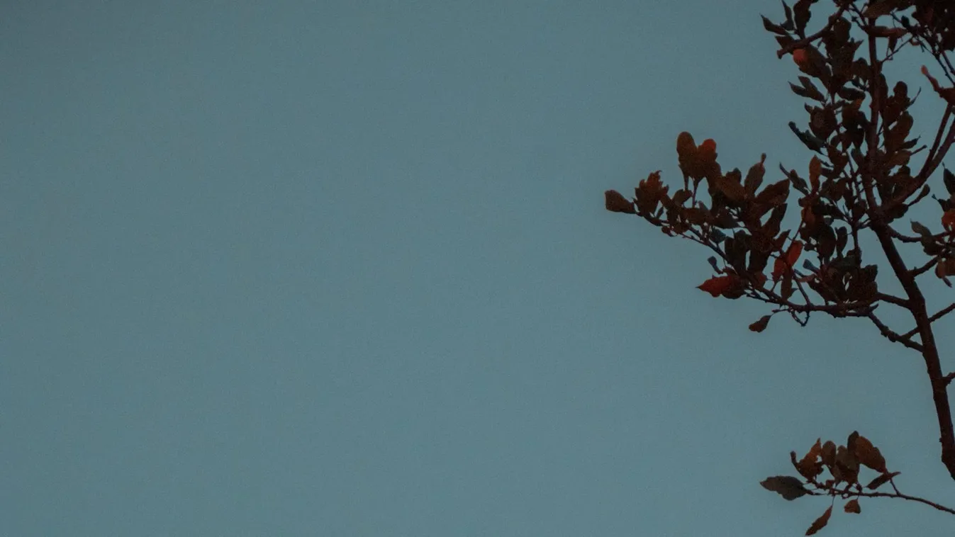 Érkezik a telihold, így változtathatsz a sorsodon