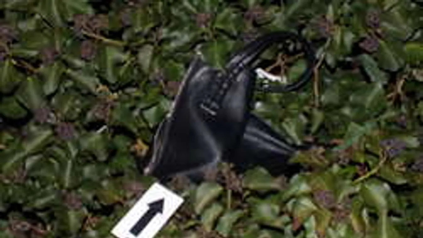 Így bukott le a bokorban bujkáló temetői rabló Újpesten!