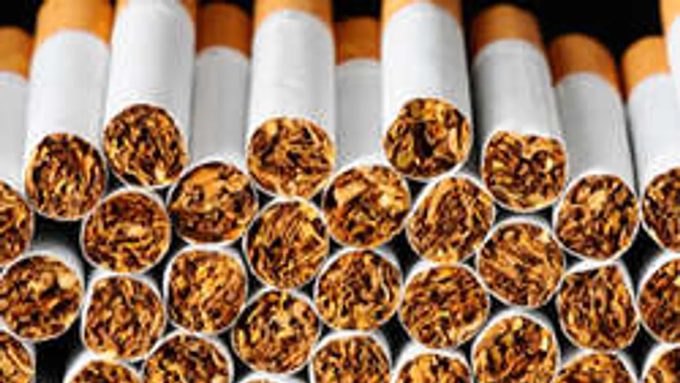 8 millió doboz cigit csíptek el a fináncok! 23 ezer évig szívhatnád...