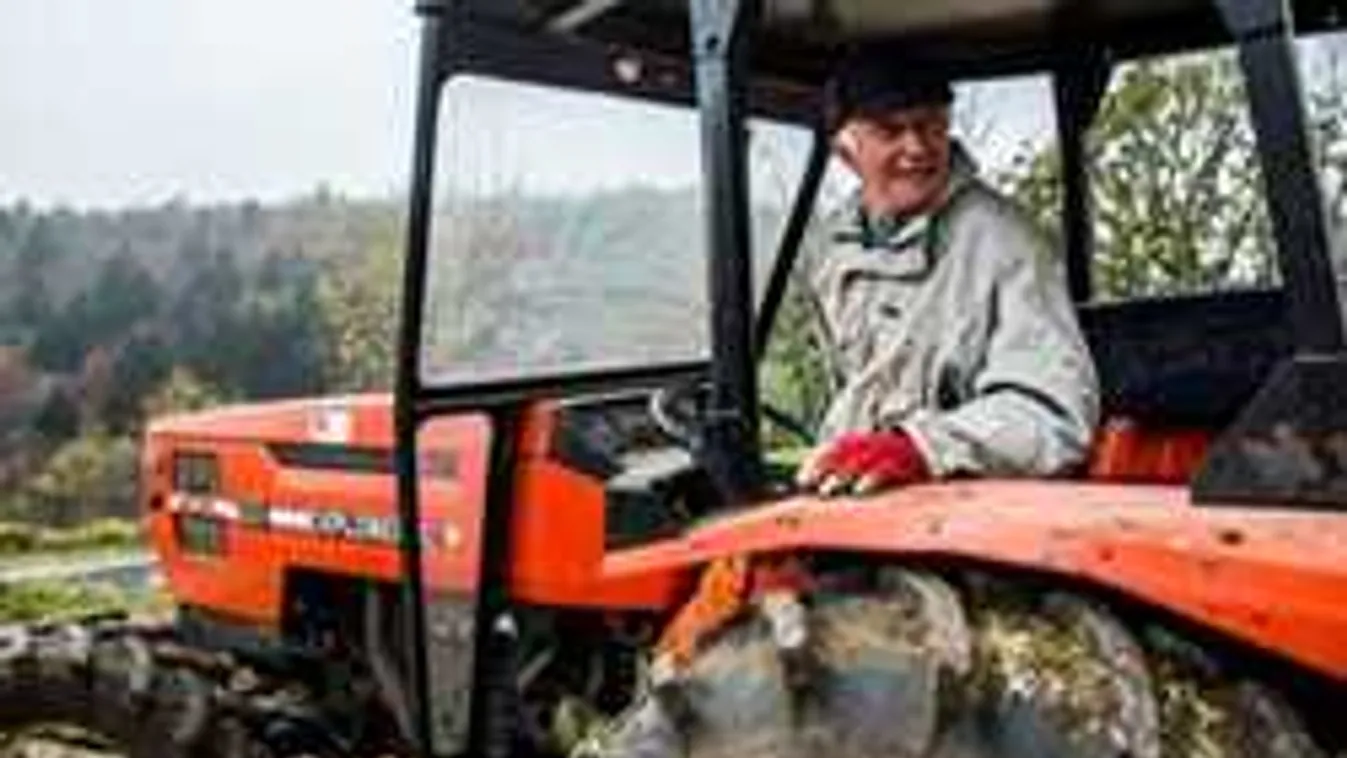 Olasz agyrém: 7 falusi mellé 80 migránst költöztetnek