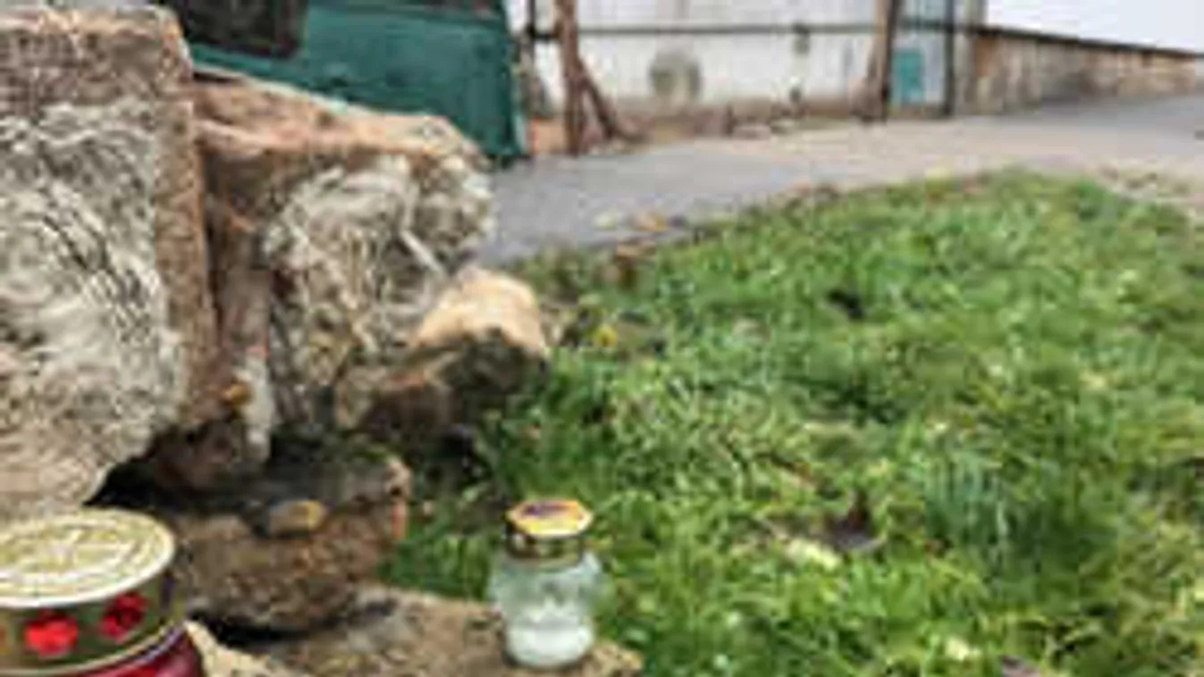 Rabkórházba vihetik a békásmegyeri óvónő gyilkosát