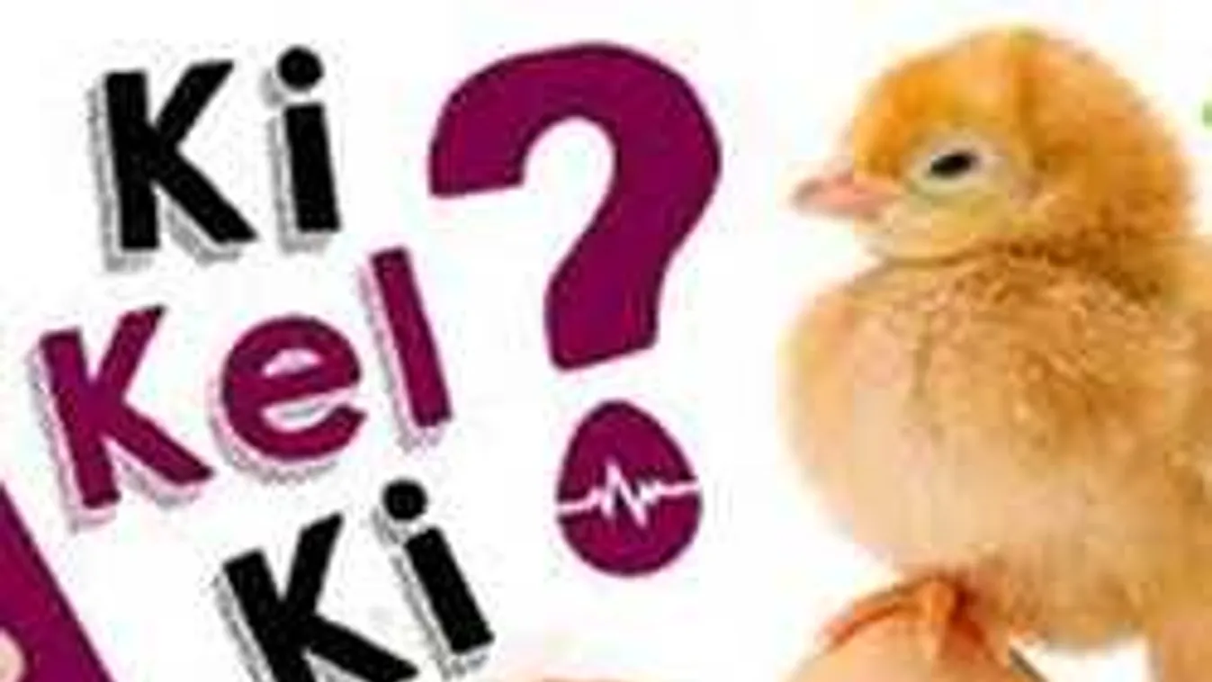 Fordulathoz érkezett az online valóságshow, reped a ketteske