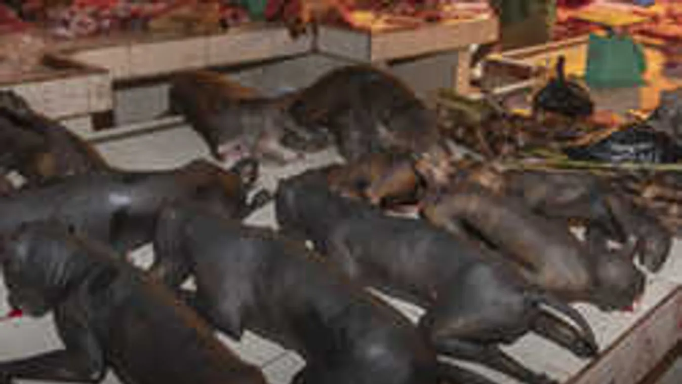 Szörnyű képek szivárogtak ki a hírhedt horrorpiacról