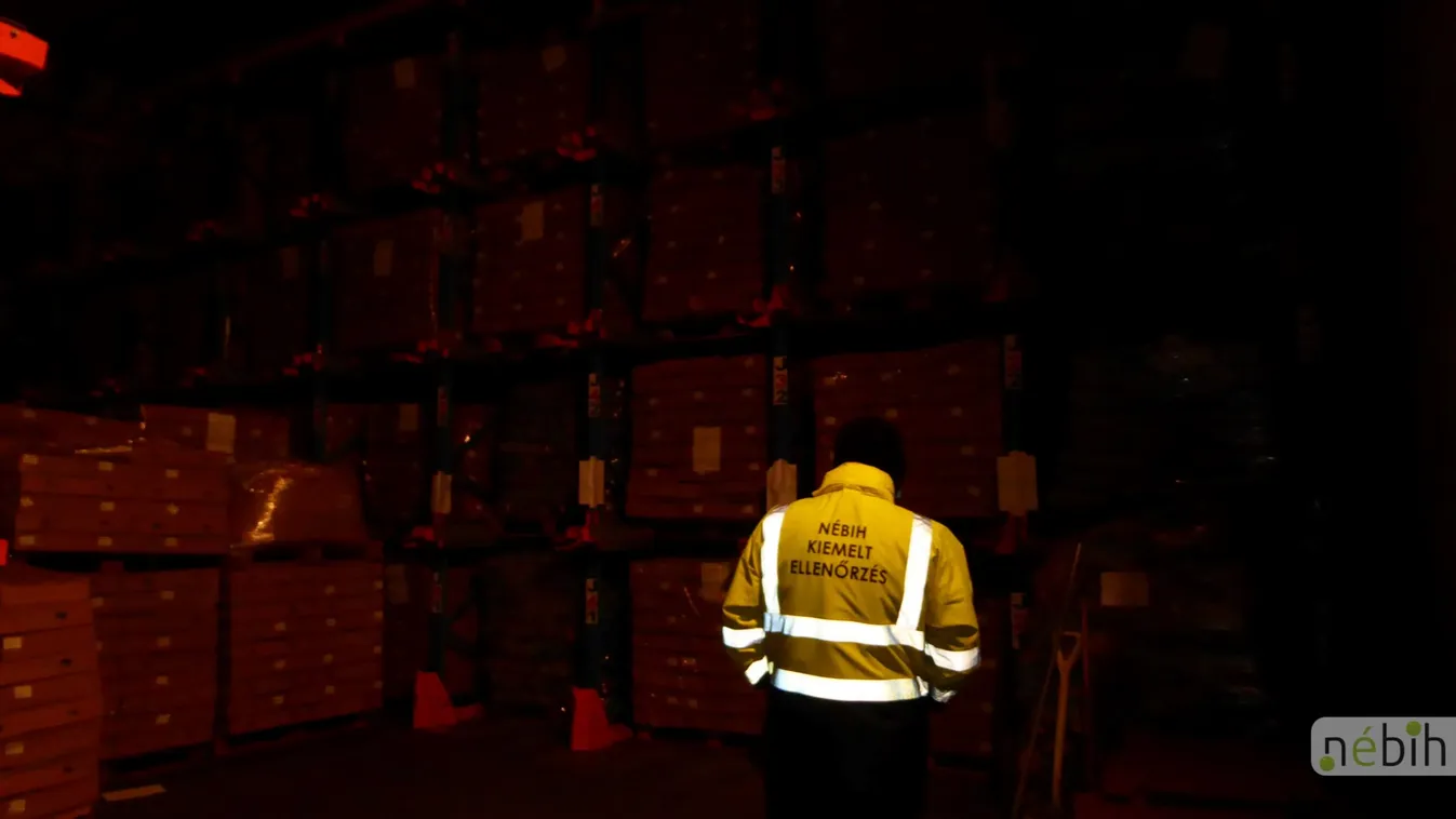 Gyomorforgató: rágcsálótetem, egérürülék és penész uralta a szabolcsi élelmiszerraktárt