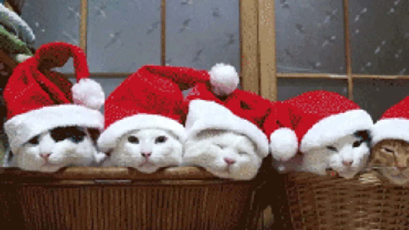 Szörnyű idővel indul a karácsonyi hétvége, de meglepetést is tartogat