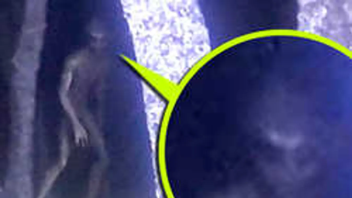 Pucéran menekült az idegen lény a rendőrök elől, de mégis lefotózták...