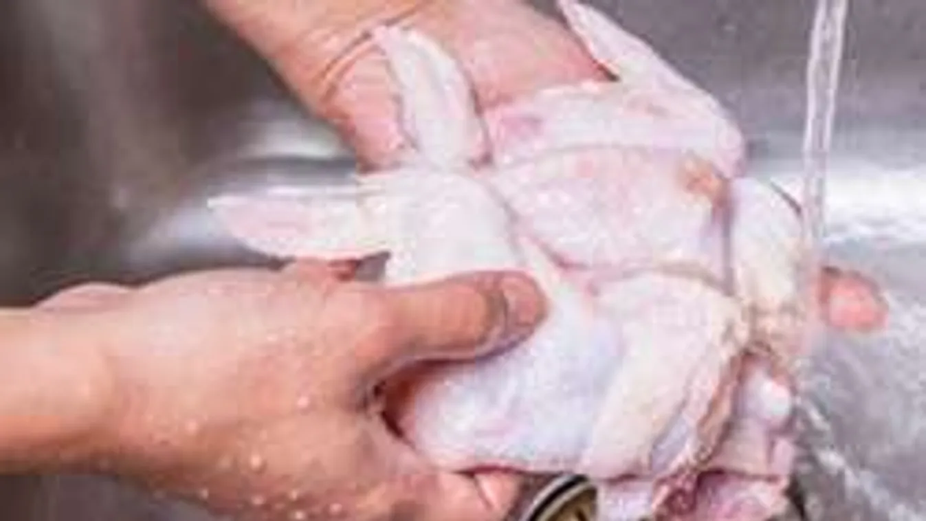 Soha ne mosd meg a csirkét sütés előtt! Belehalhatsz!