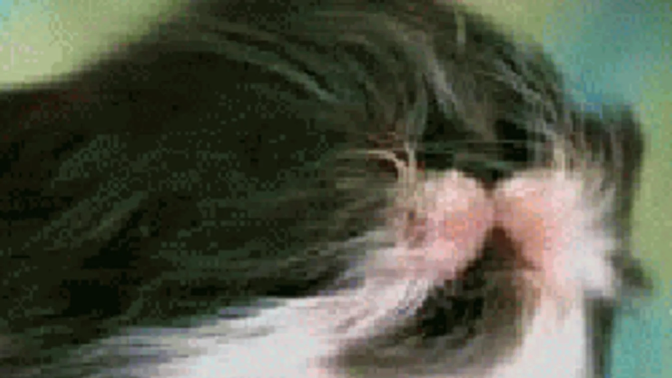 Továbbra sincs kegyelem, itt lesznek újabb durva viharok