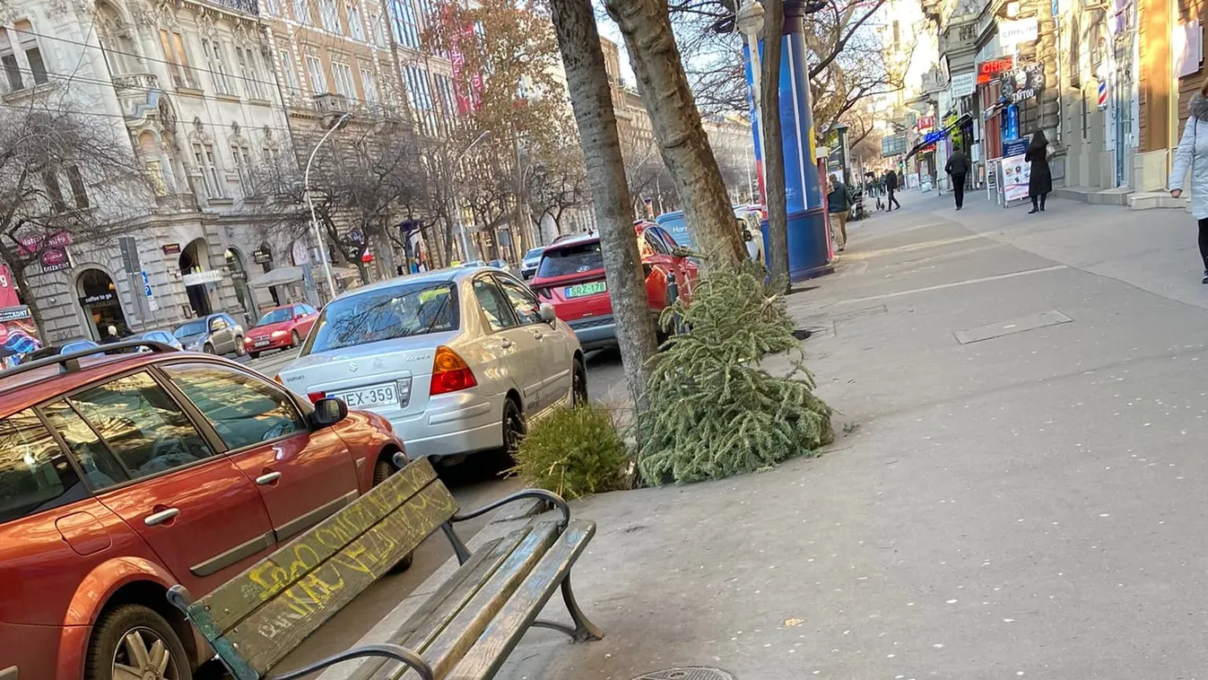 Elképesztő állapotba került a Nagykörút, kidobott fenyőfák mindenütt