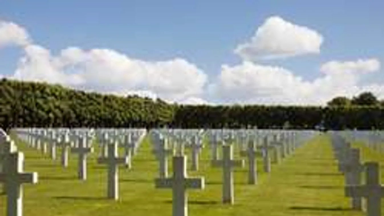 Jelöletlen sírban találták meg eltűnt apjukat!