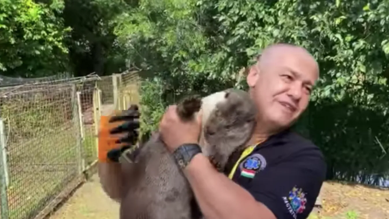 Elhunyt Töreki Tamás, a vidrákat mentő mentőtiszt