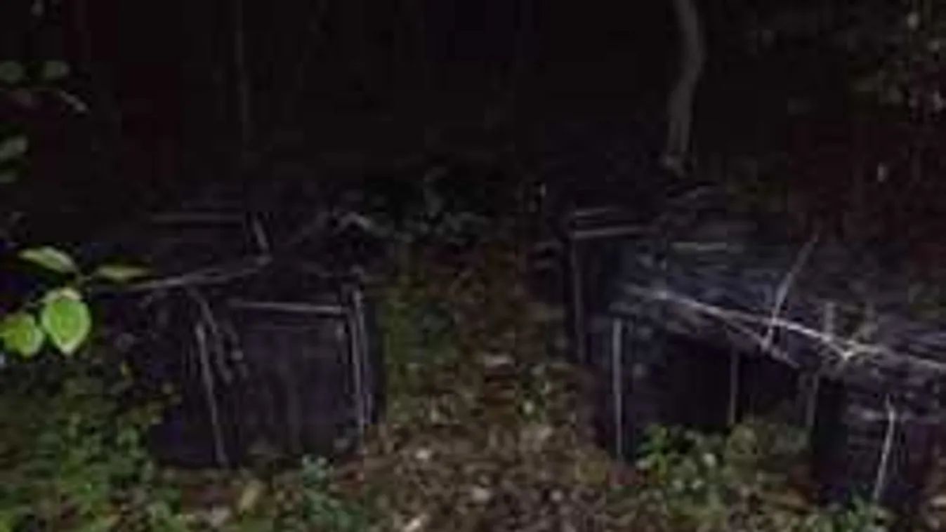 Húszmillió forint értékű csempészcigarettát találtak a zöldhatáron