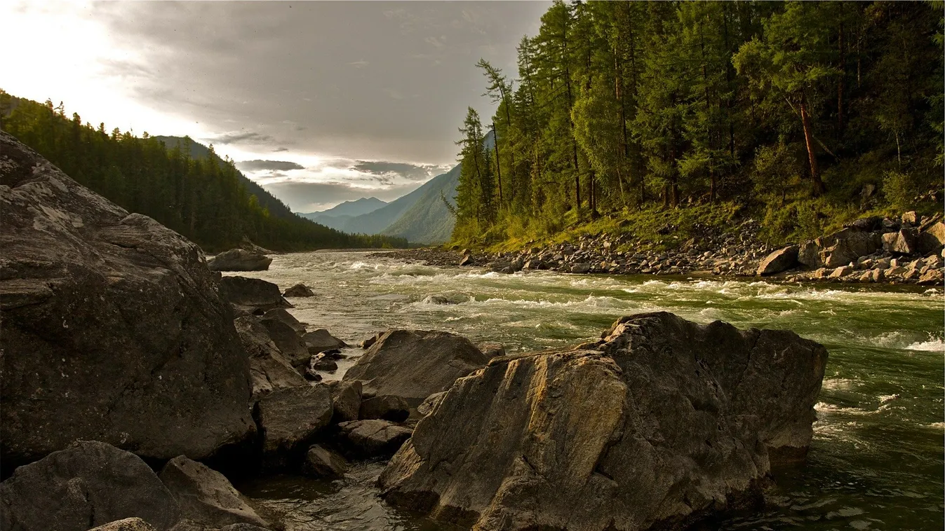 Koronavírus: ezt üzeni Jane Goodall