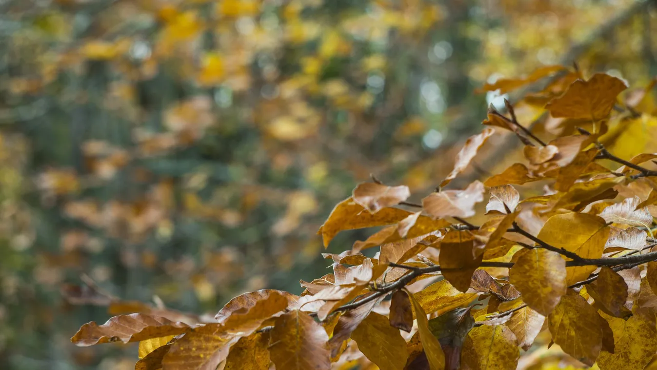 Kiadták a figyelmeztetést: így indít az időjárás a héten