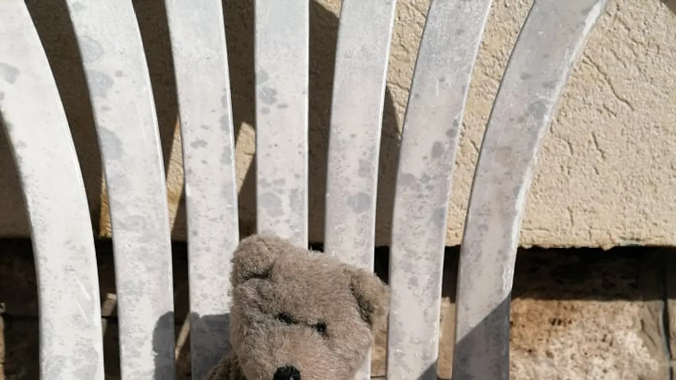 Kiderült végre, ki és miért járja macinak öltözve Budapestet: ő Maci mama