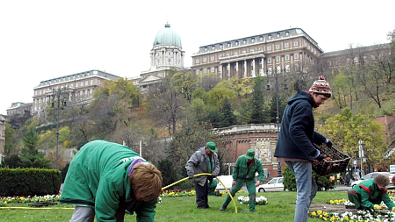 Karácsony bedarálta a 154 éves Főkertet – kiakadtak a kertészek