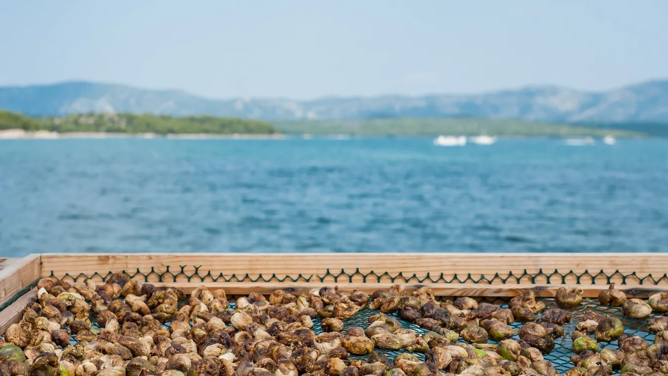 Horvátországba elég csak a kártya