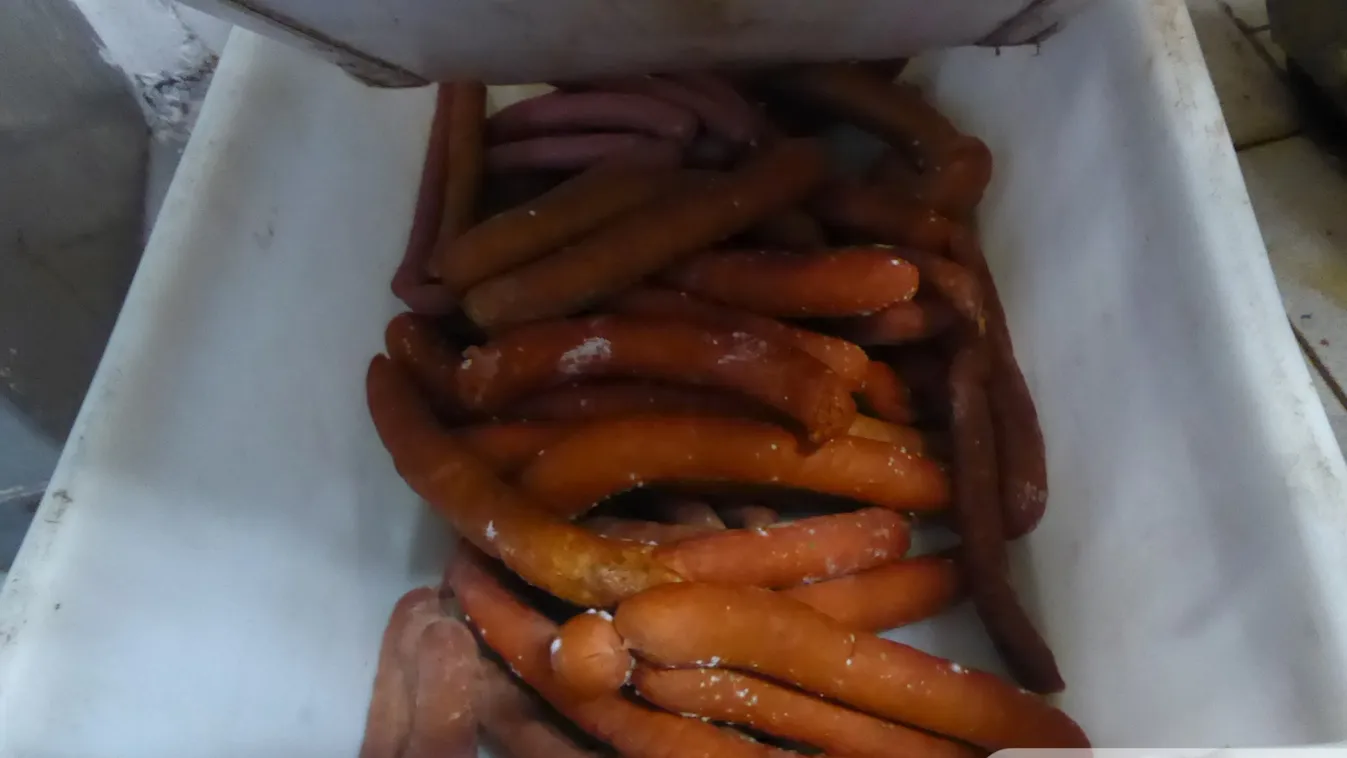 Gyomorforgató: romlott és kukacos húst szállított óvodákba és iskolákba a horrorüzem