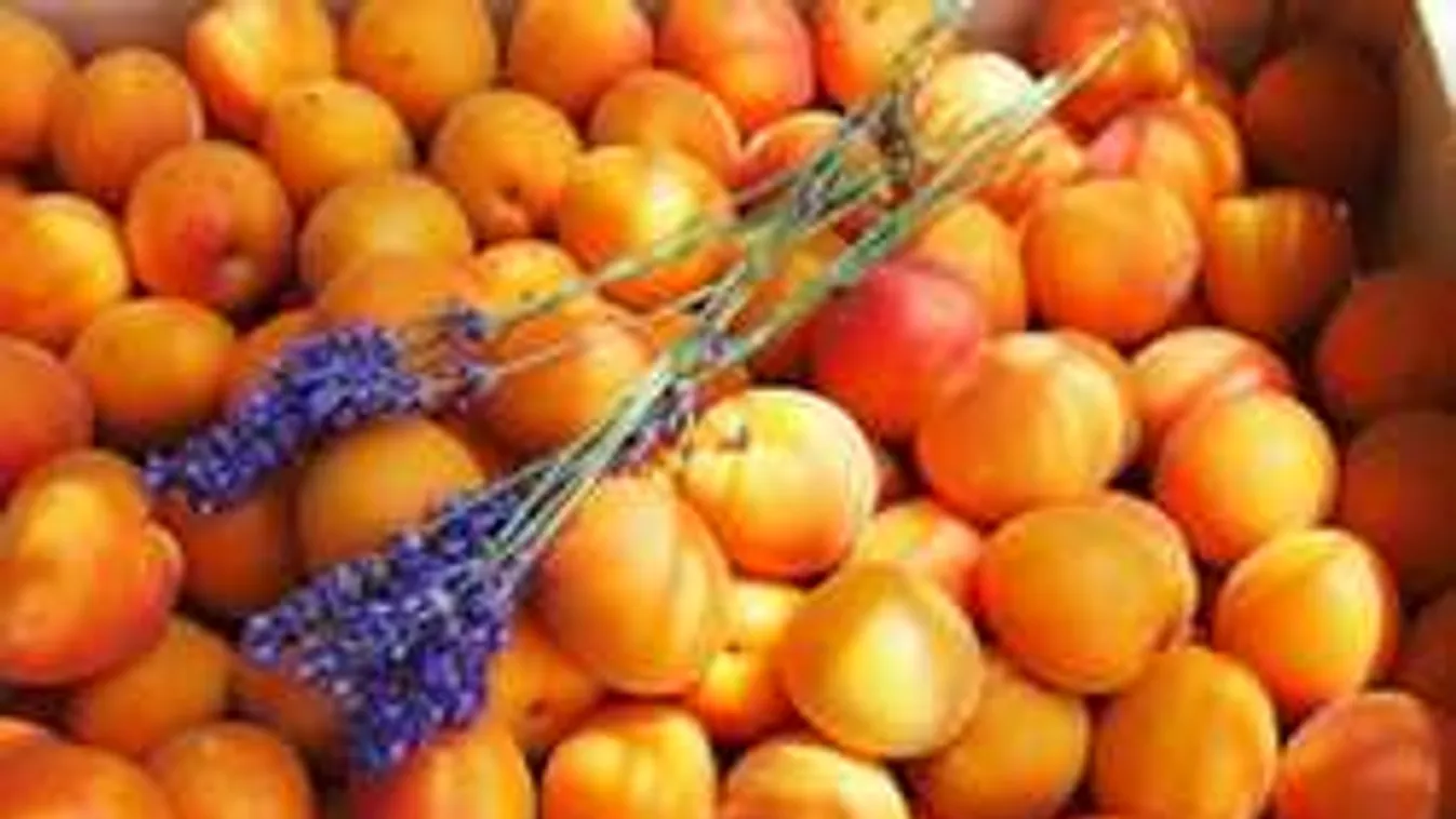 Csúcslekvár sárgabarackból: készítsd cukor nélkül, levendulával!