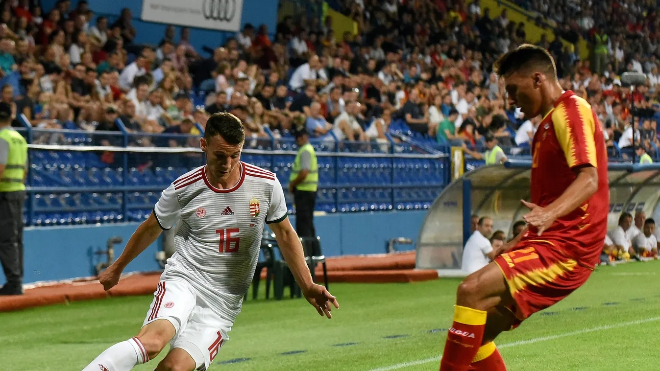 Radunovic, Risto; Gazdag Dániel