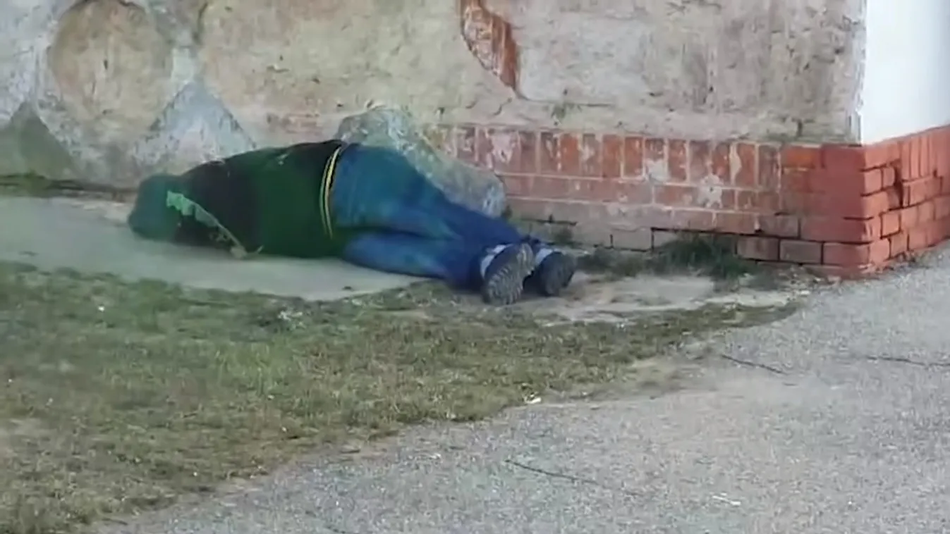 Ingázó munkások hozzák Budapestre a bikát Borsodból-videó