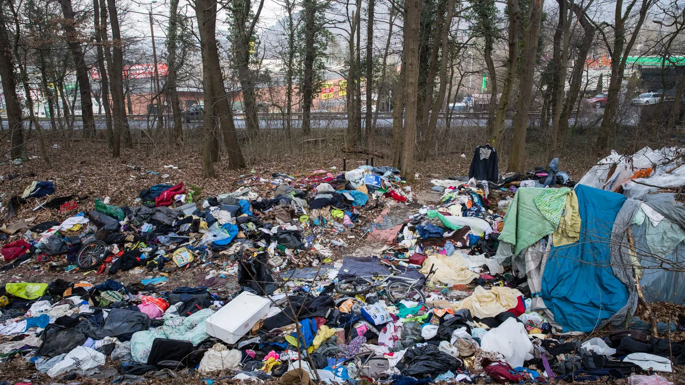 A budai hegységet is bevették a hajléktalanok
