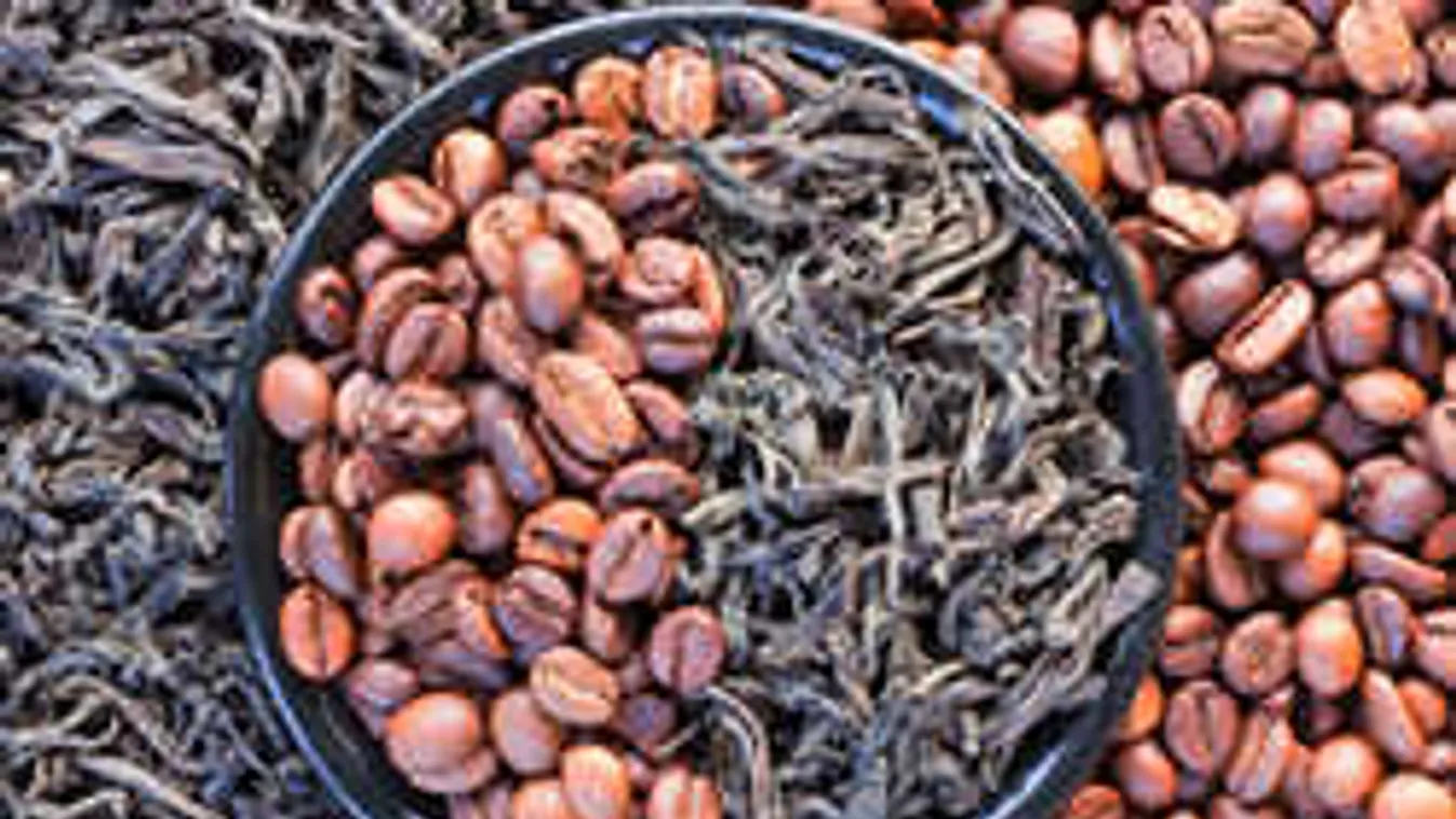 Tea vagy kávé? Most kiderül, neked mit kellene inni reggelente!