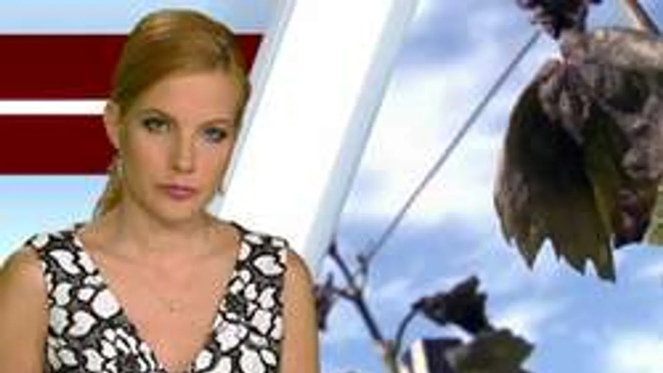 Így búcsúzott el Várkonyi Andrea!