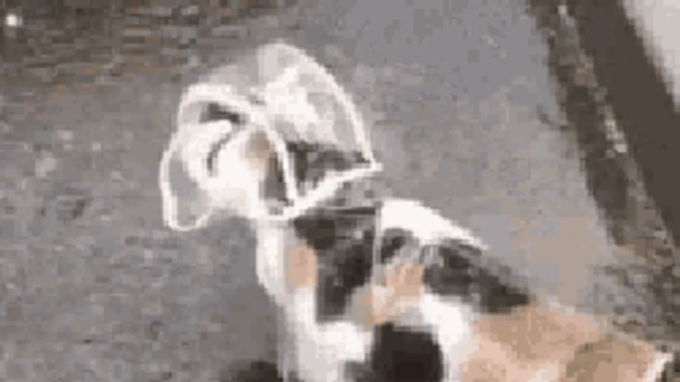 Hidegfront jön, visszatér a fagy: szomorú időjárásunk lesz