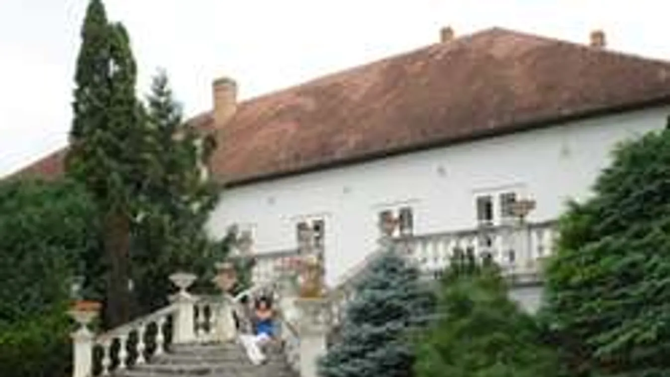 Szász Endre 500 forint plusz áfáért