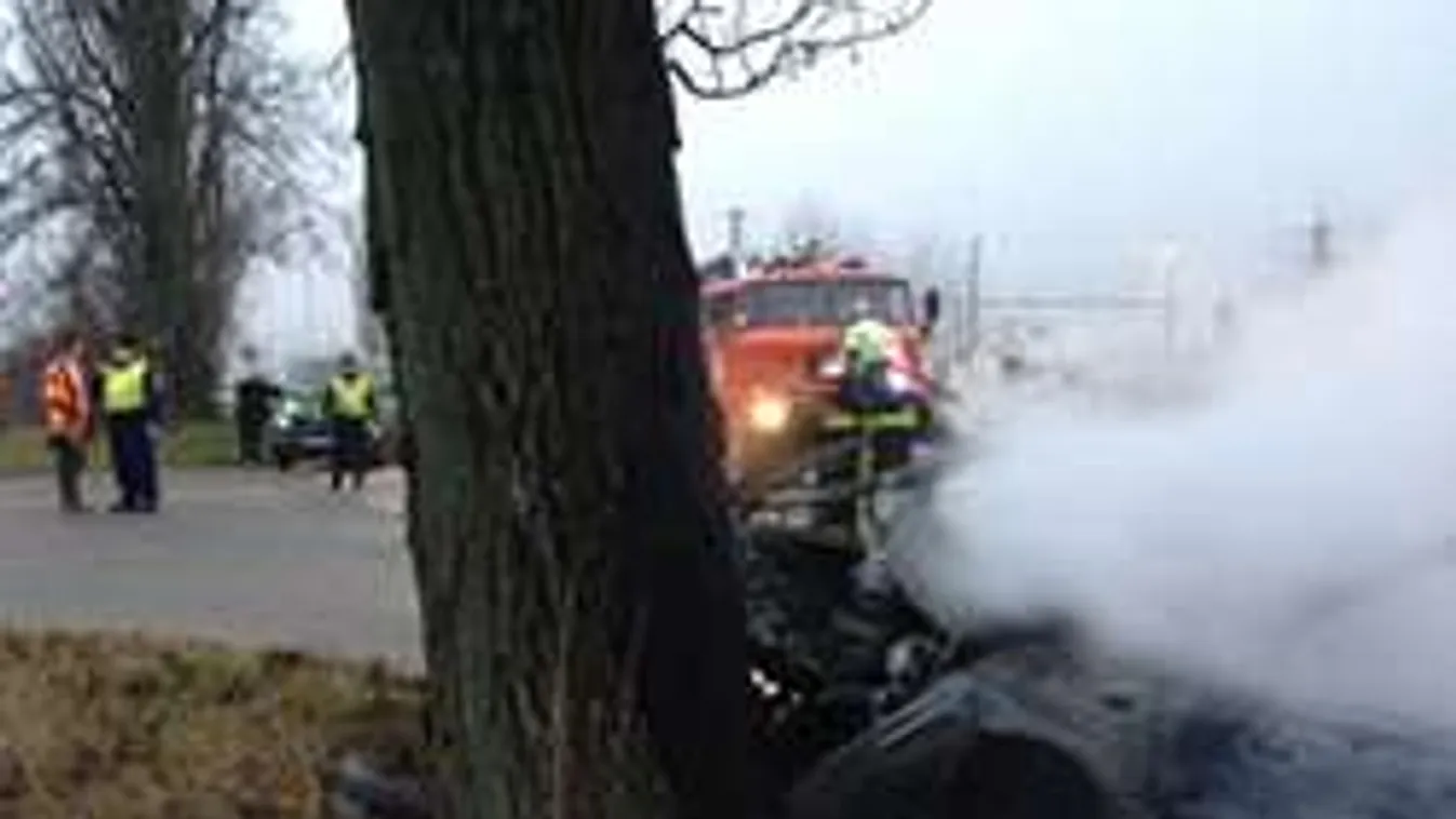 Fának csapódott az autó, meghalt az utasa - Sokkoló fotó!