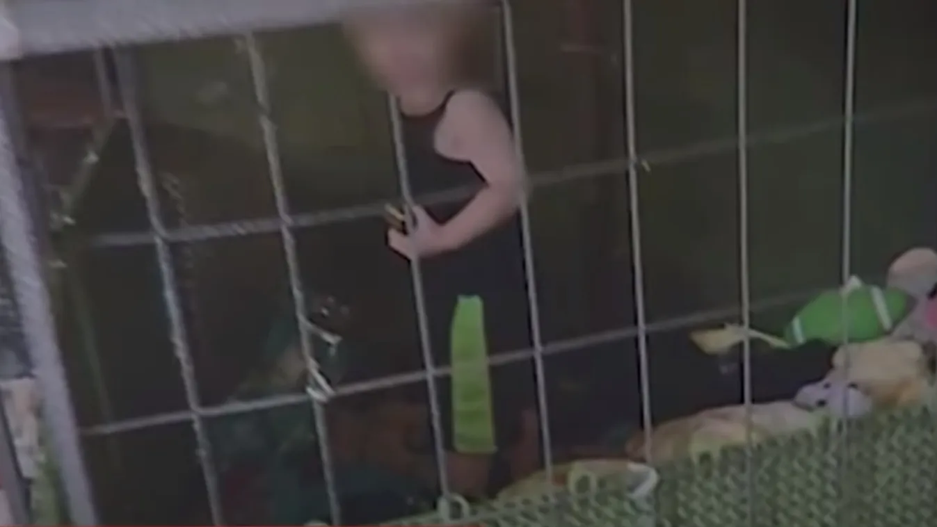 Kutyakennelbe zárták a kisfiút: patkányok, kígyók és egerek vették körbe -videó