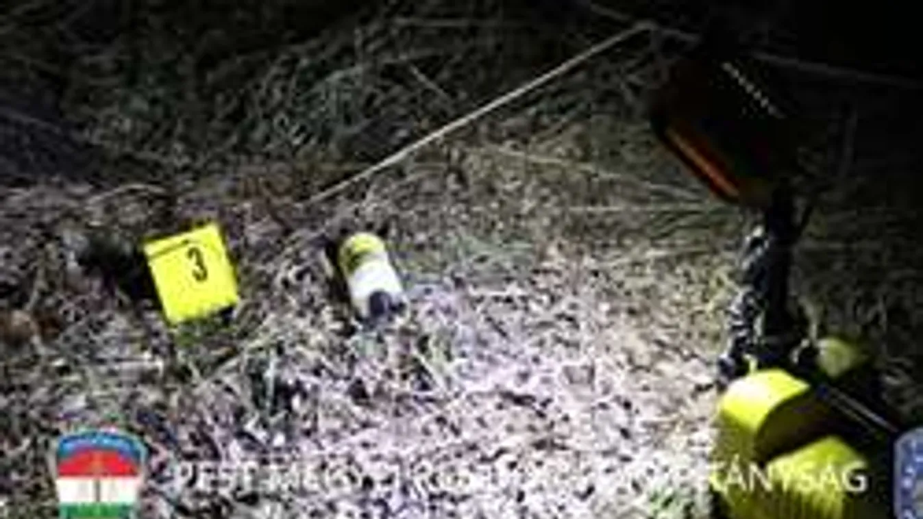 Sokkoló részletek, így ölte meg Vivient gyilkosa!