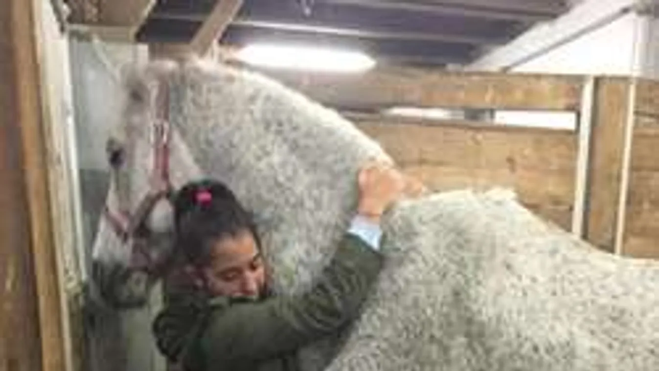 Fellélegezhet a Schobert család!