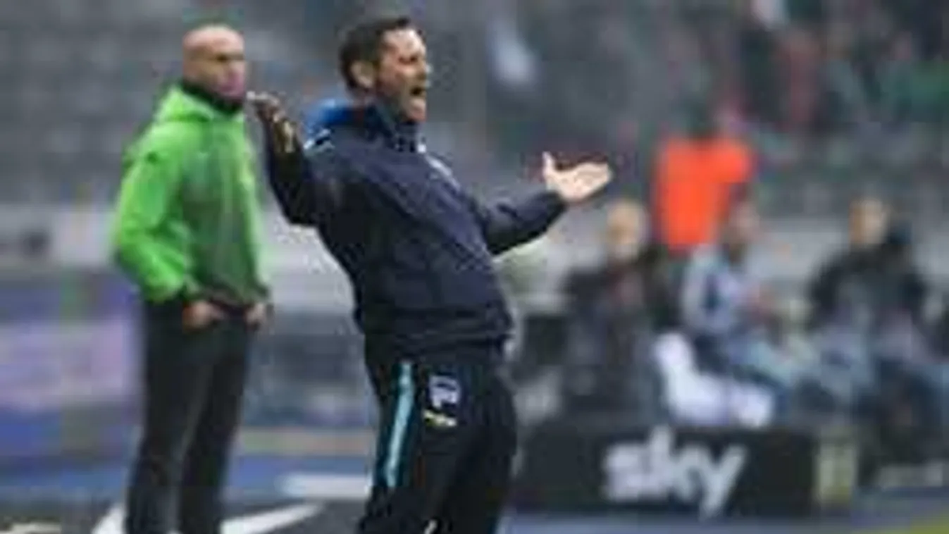 Ebből botrány lesz, Dárdai német válogatott lehet