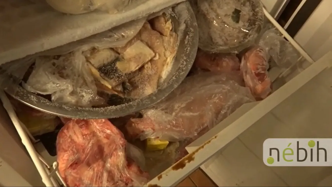 Undorító folyadék, lejárt élelmiszerek, kosz mindenütt egy budapesti étteremben – videó