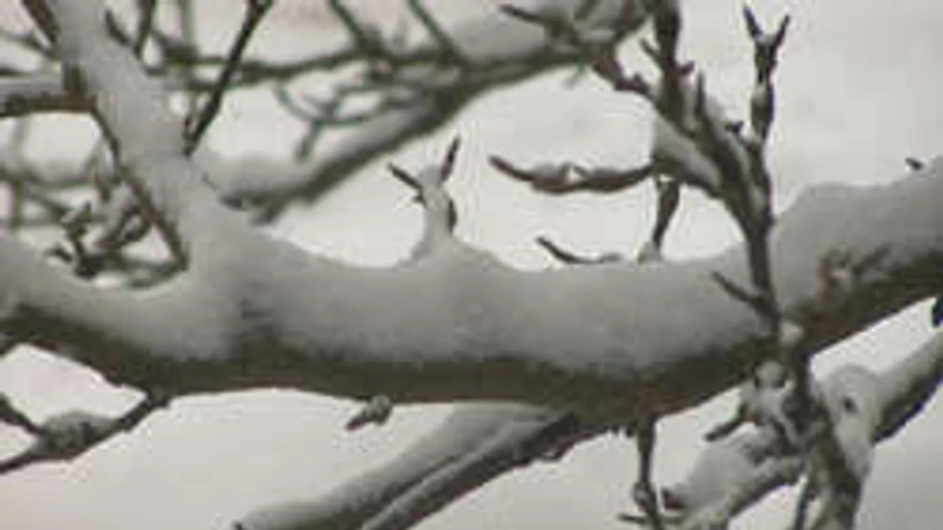 Tovább durvul az időjárás! Rosszabb lesz a keddünk, mint eddig gondoltuk