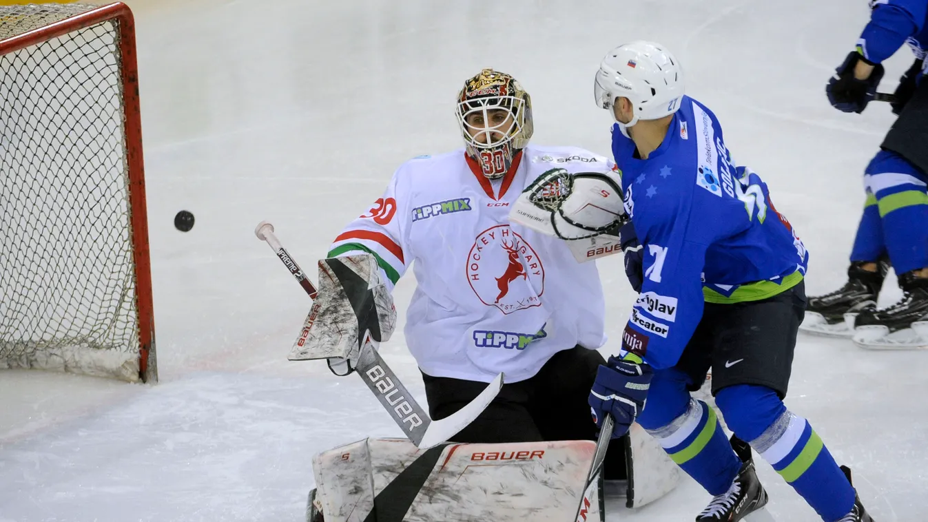 Vay Ádám; Golicic, Bostjan 