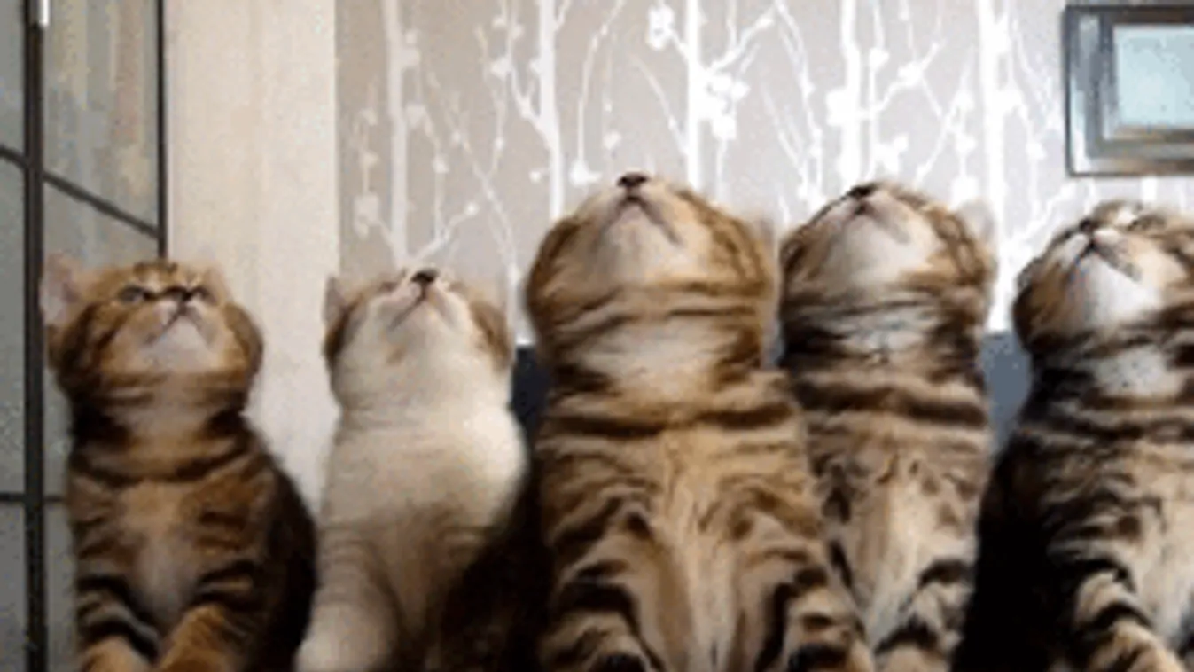 Durva lehűlés jön, de nem ez a legrosszabb ami érkezik