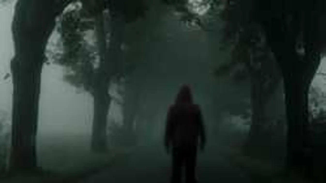 Durva részletek a tömeggyilkosságról: vallott a holttestekkel élő férfi