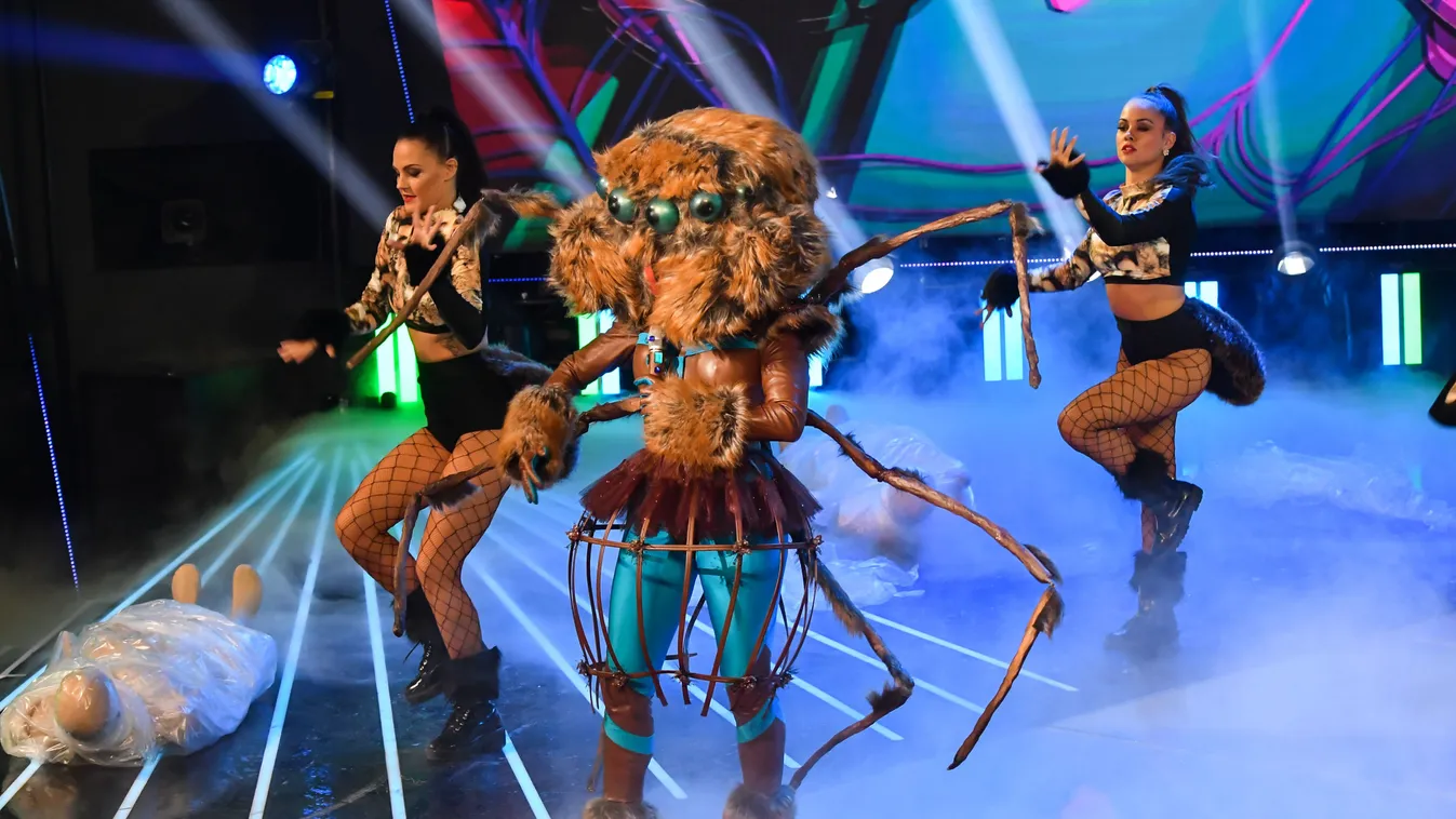 Megvan a továbbjutó, újabb versenyzőtől búcsúztak a Nicsak, ki vagyok? adásában