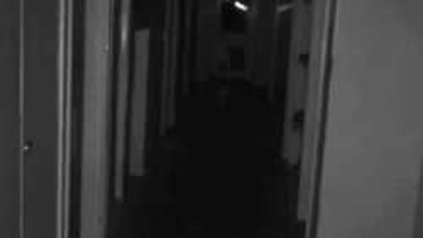 Sokkot kaptak a kutatók: lehet, hogy mégis van túlvilág?